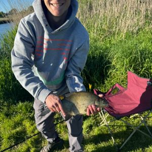 Profilbild