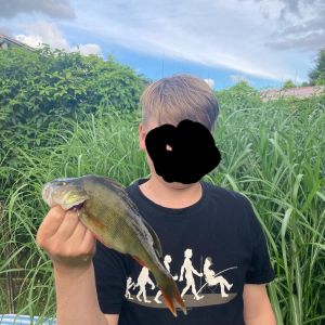 Profilbild