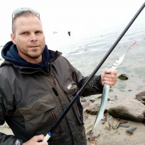 Profilbild