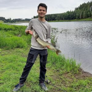 Profilbild