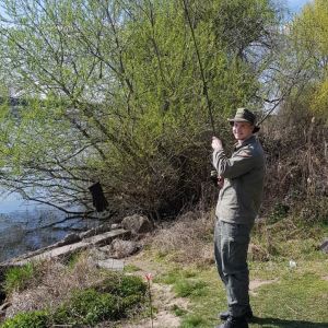 Profilbild