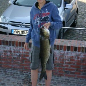 Krautangler55