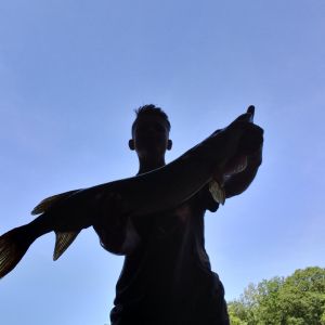 Profilbild