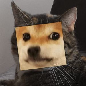 Profilbild
