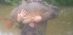 Rooffischangler-garudagermany