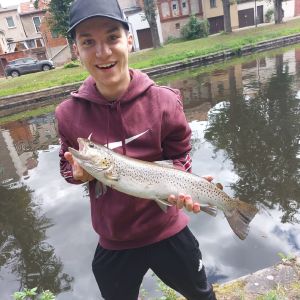 Profilbild