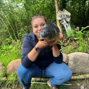 Profilbild
