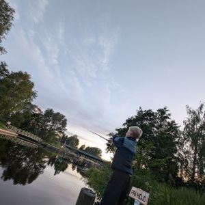 Profilbild
