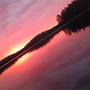 Profilbild