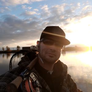 Profilbild