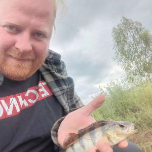 Profilbild