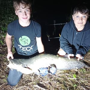 Profilbild