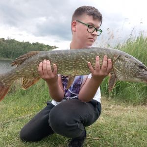 Profilbild