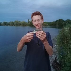Profilbild