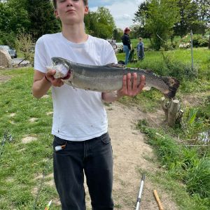 Profilbild