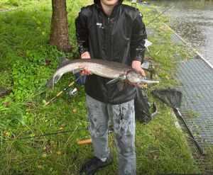 Profilbild