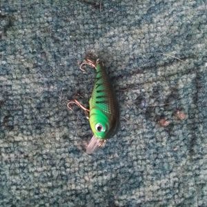 Profilbild