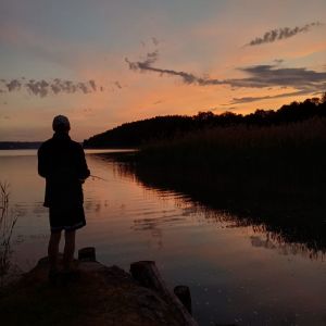 Profilbild