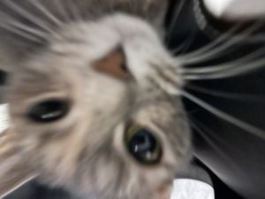 Profilbild