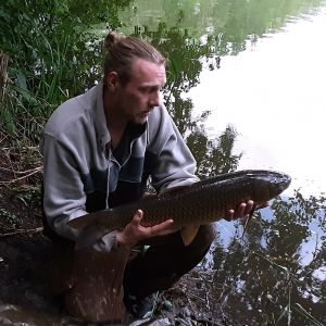 Profilbild