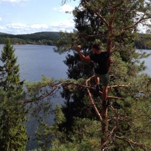 Profilbild
