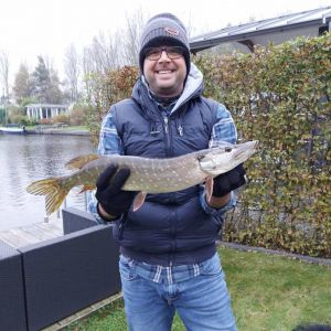 Profilbild