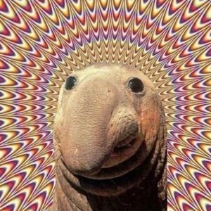 Profilbild