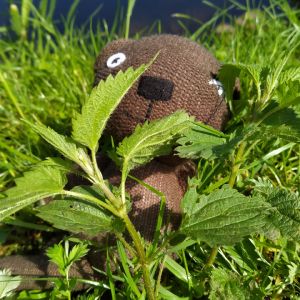 Profilbild
