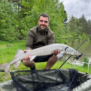 Profilbild