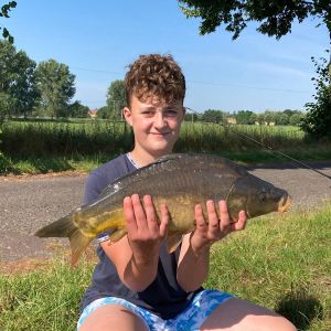 Profilbild