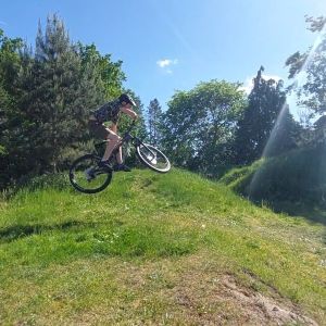 Profilbild