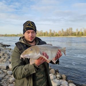 Profilbild