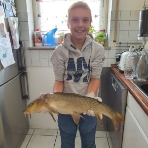 Profilbild