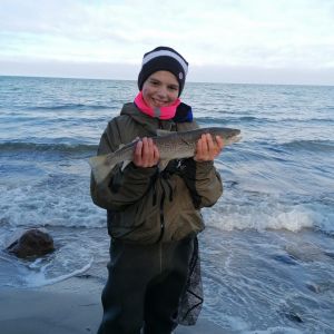 Profilbild