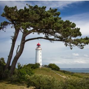 Der Hiddensee'er Jung