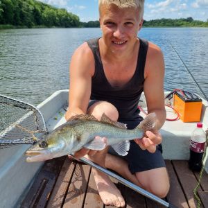 Profilbild