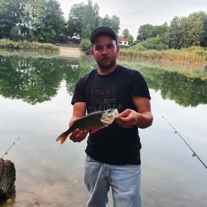 Profilbild