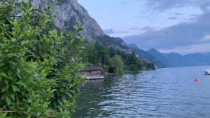 KunoDerKillerkarpfen