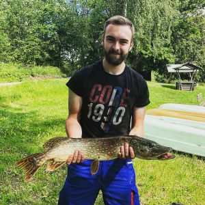 Profilbild