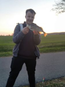 Profilbild