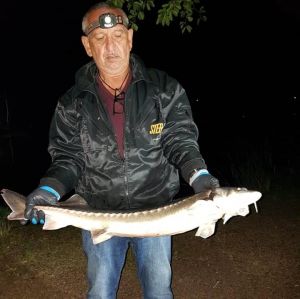 Norbert Röder Hofheim