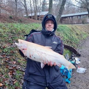 Profilbild