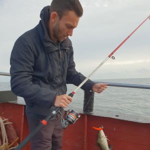 Profilbild
