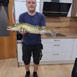 Mäu87