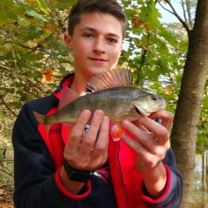 Profilbild