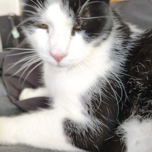 Profilbild