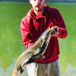 Derangler28