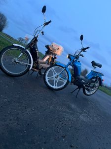 Profilbild