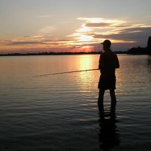 Profilbild