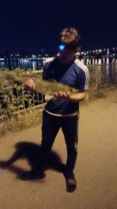 Profilbild